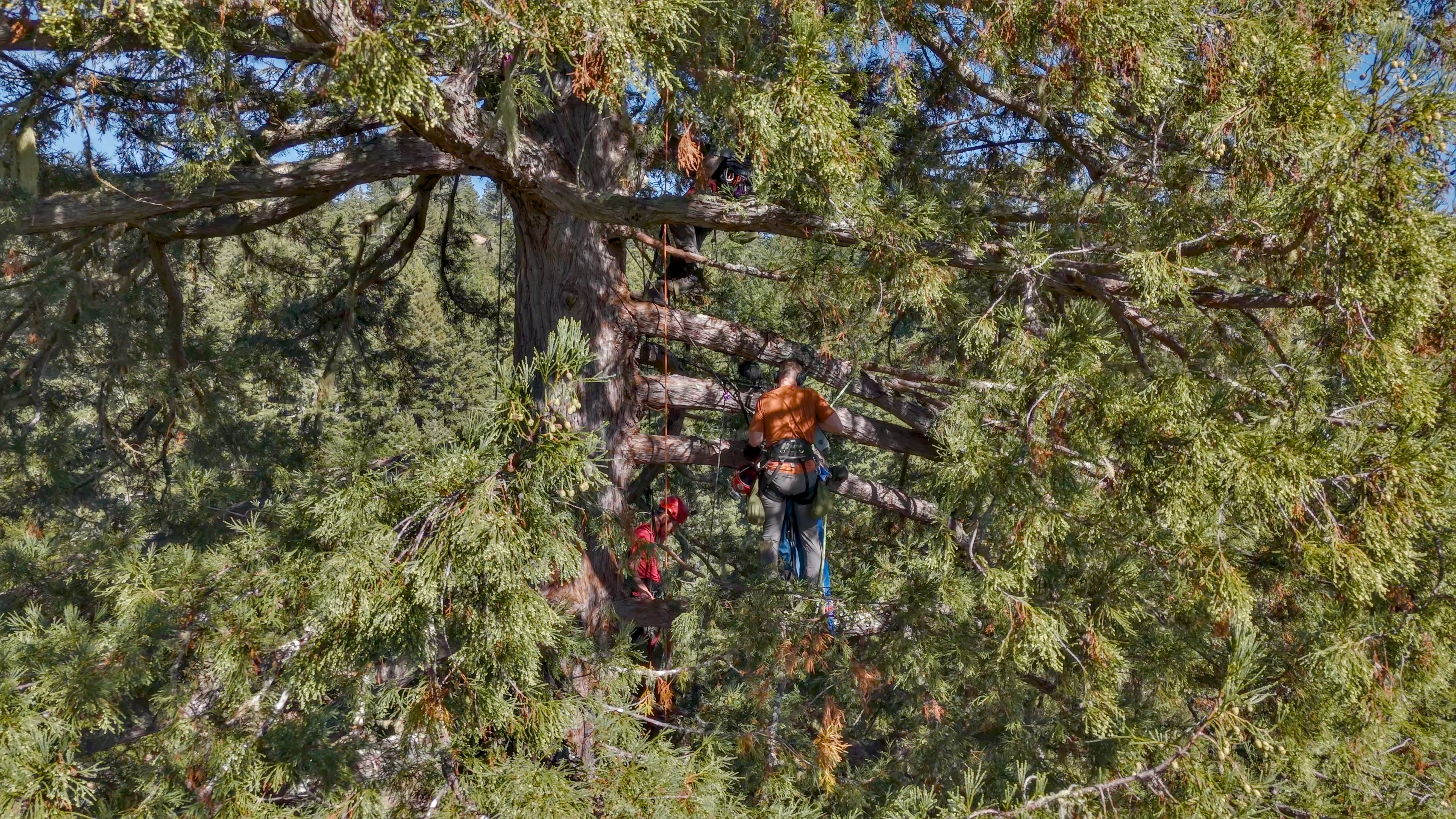 3D Immersive Microphone Arrays  