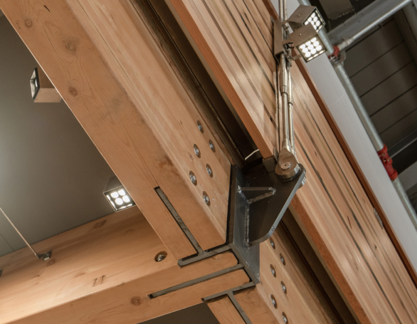 The lord of the rings illustration