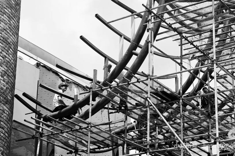 The lord of the rings illustration